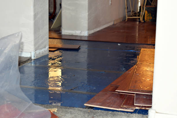 Professional Basement Flood Cleanup technician working in Saint Charles, MN